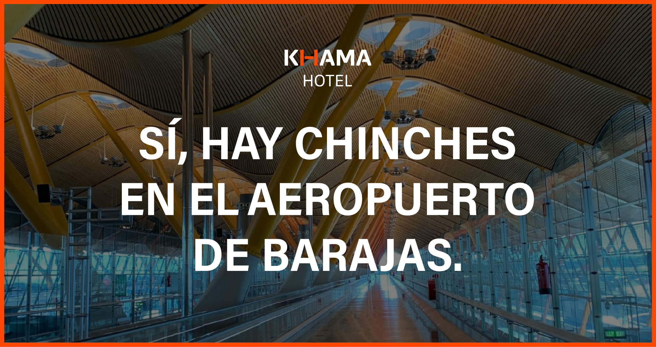 Chinches en la T4